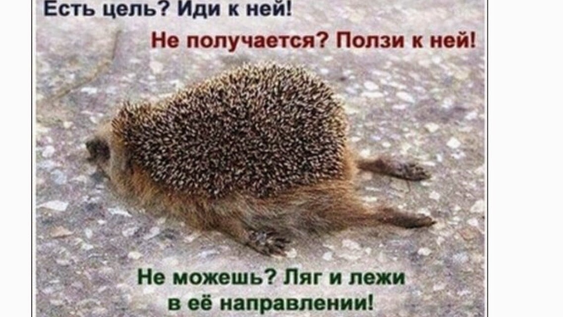 летучая рыба столь чудесно попавшаяся к двум смертельно голодным ответы летучая рыба столь чудесно попавшаяся к двум смертельно голодным ответы