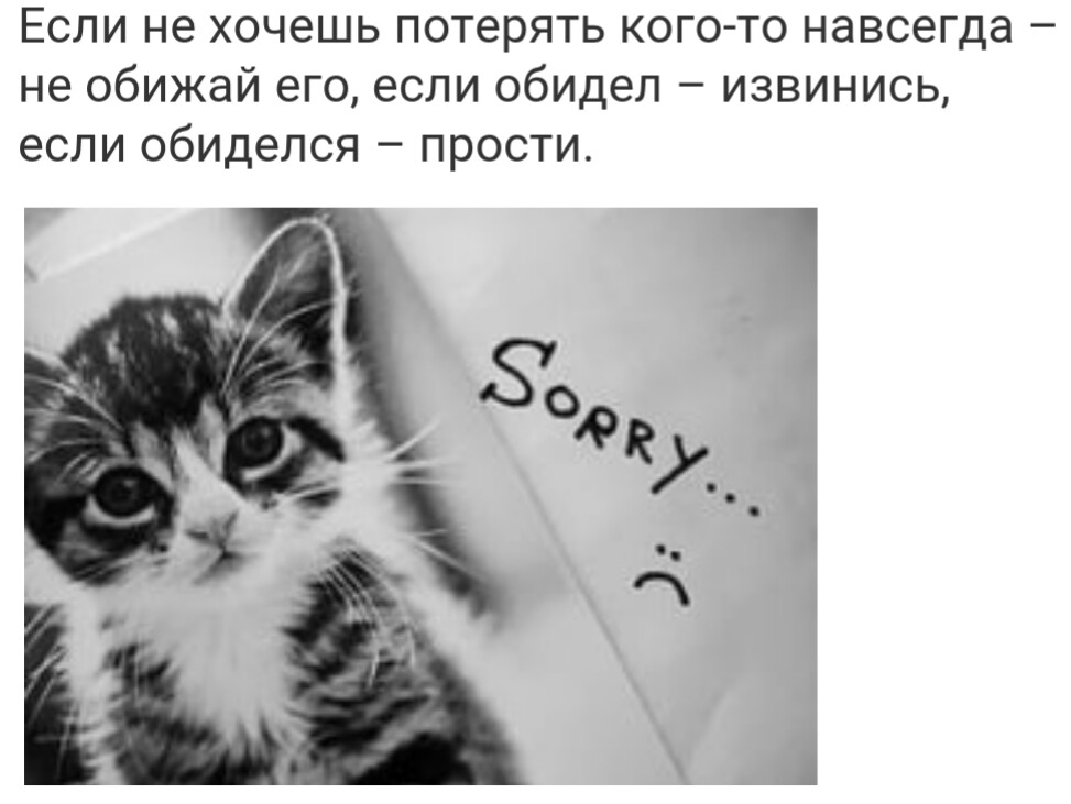 Открытки прости если обидела тебя Открытки прости если обидела тебя