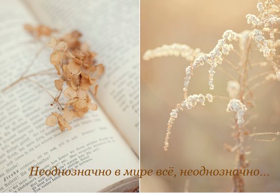 Любовь не стоит ничего. (Брат Николай) / Стихи. ру Красивые стихи сыну от мамы душевные до слёз Корки. lol