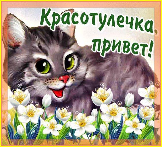 Открытки с юмором для Открытки с юмором для