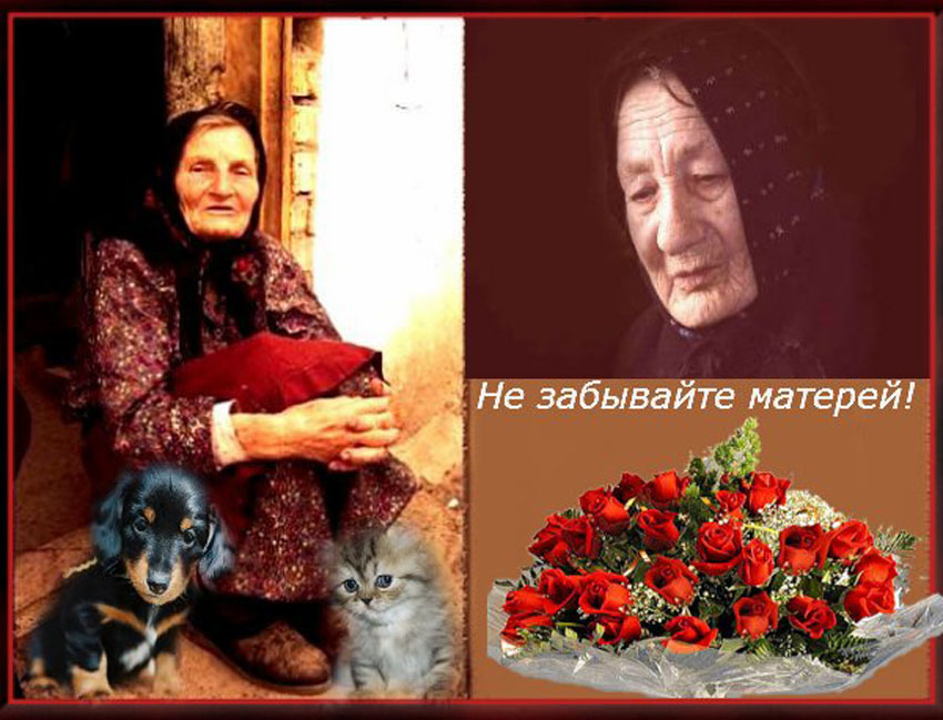 Вспомнить о маме Вспомнить о маме