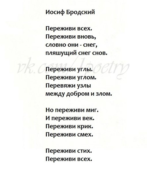 Бродский стих снег Бродский стих снег