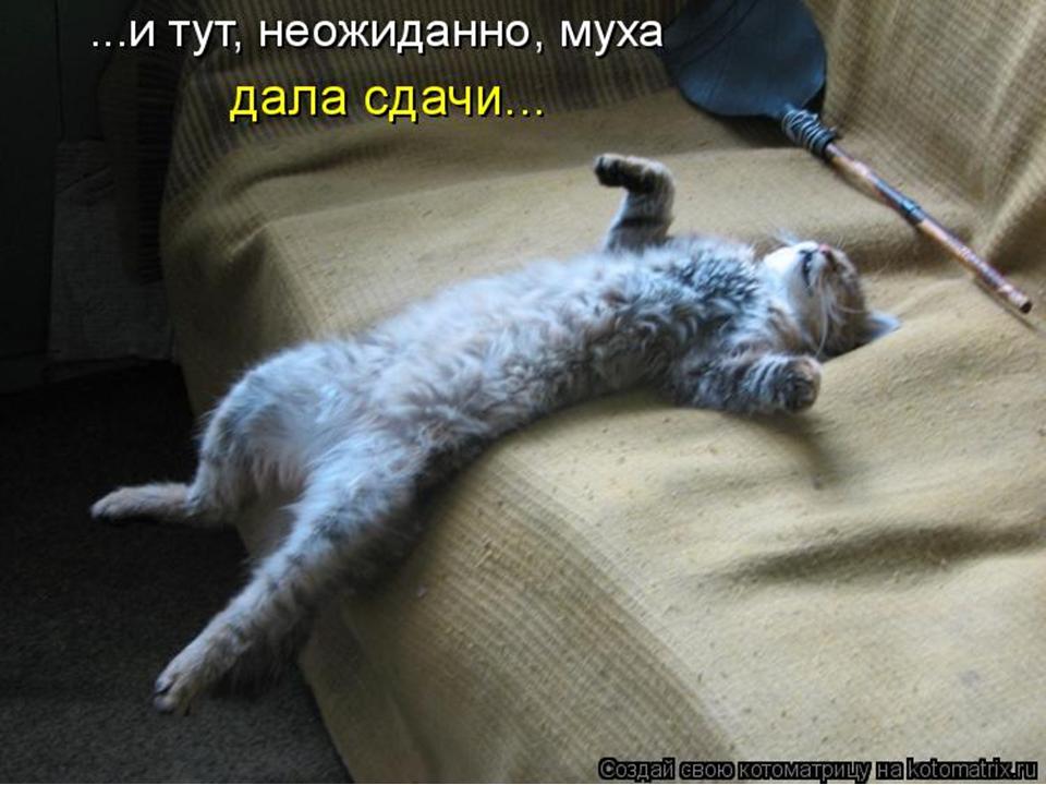 Котоматрица вам в ленту))): jeka_jj.