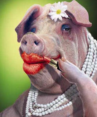 название название