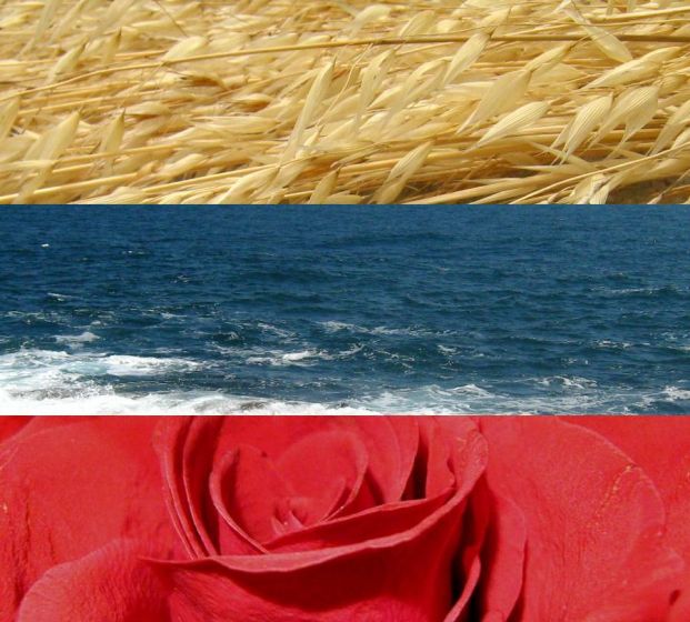 Скачать песню про родной дом