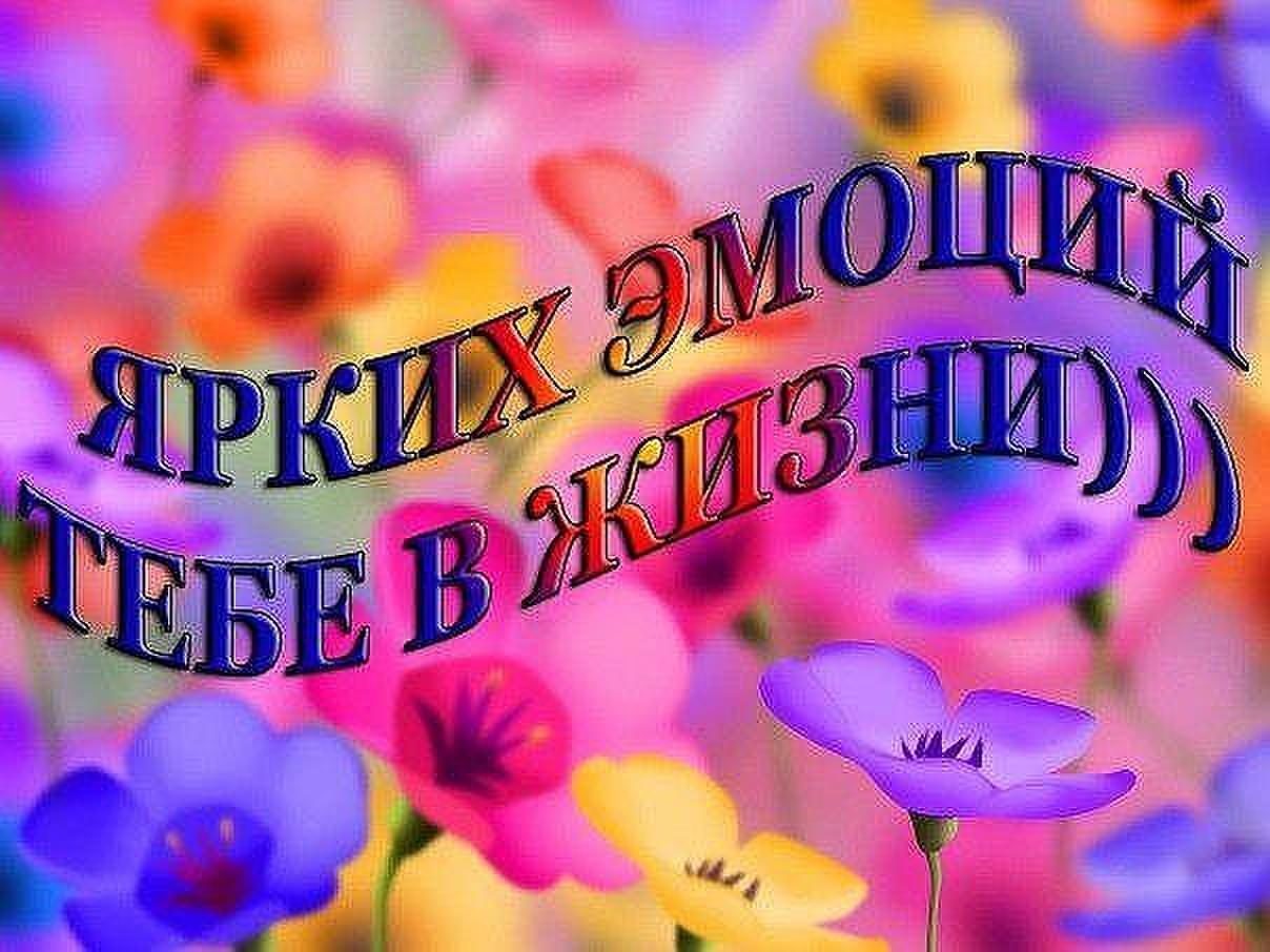 Прикольные поздравления эдуарду с днем рождения Прикольные поздравления эдуарду с днем рождения