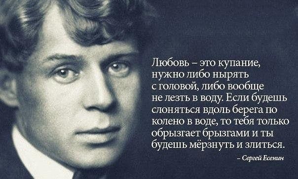 АРХИТЕКТУРНЫЕ КОНКУРСЫ 2017. КОНКУРСЫ ДЛЯ «Кошкин дом». Слушать