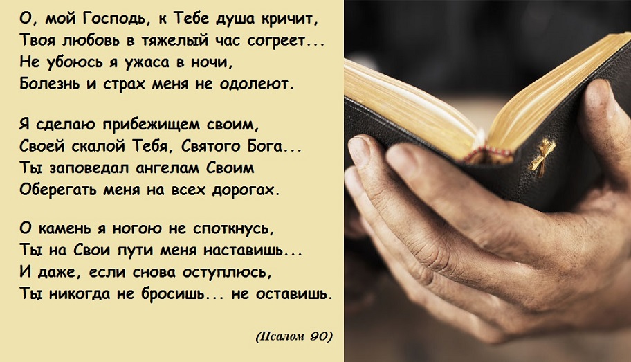 Душа кричит стих Душа кричит стих