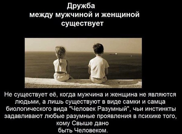 Есть дружба между нами стих Есть дружба между нами стих