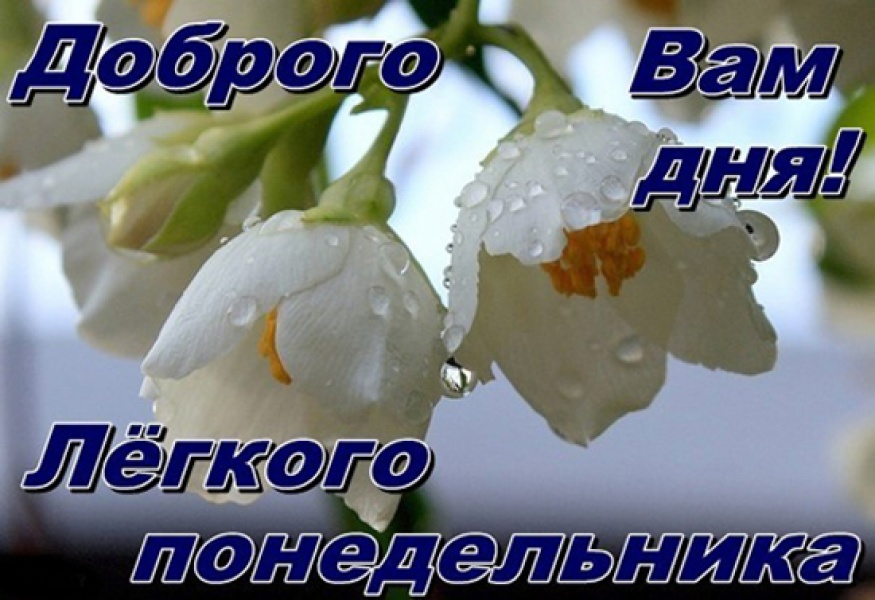 Опять понедельник в открытках 100 Опять понедельник в открытках 185