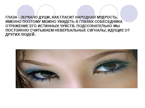 Сонник собака ключевые значения снов в Соннике собака