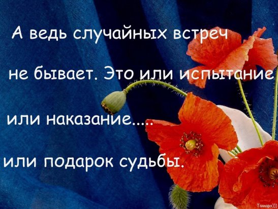 Что значит случайных встреч не бывает решил