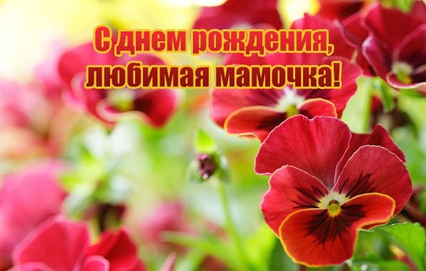 Как из паинт нет сделать фото Как из паинт нет сделать фото