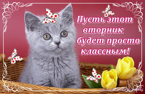 Вторник день недели открытки с ПОЗДРАВЛЕНИЕ ПО ДНЯМ НЕДЕЛИ!