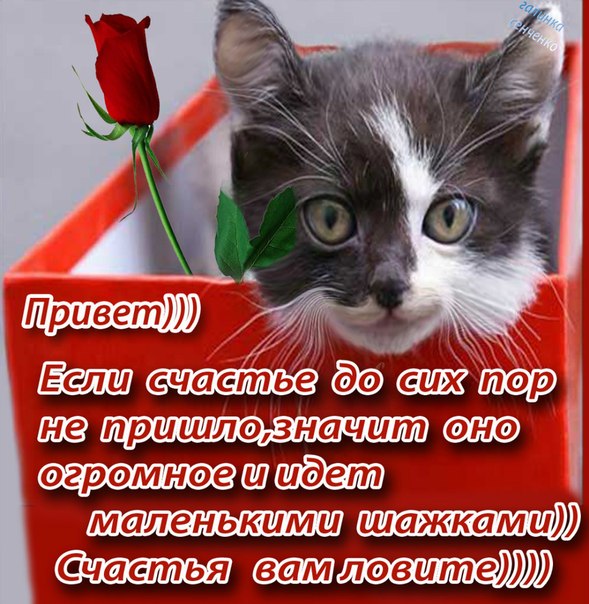 Статусу привет от меня Статусу привет от меня