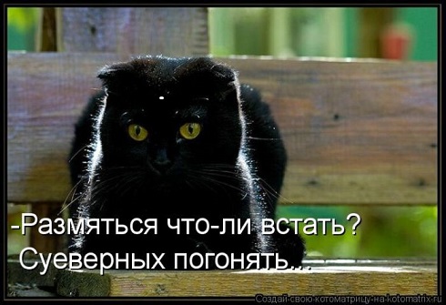 Анекдоты про черных кошек Анекдоты про черных кошек