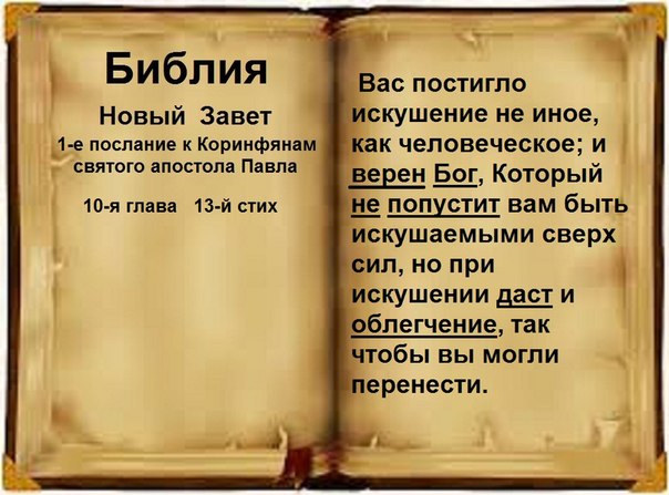 6 том 6 глава 6 стих 6 том 6 глава 6 стих