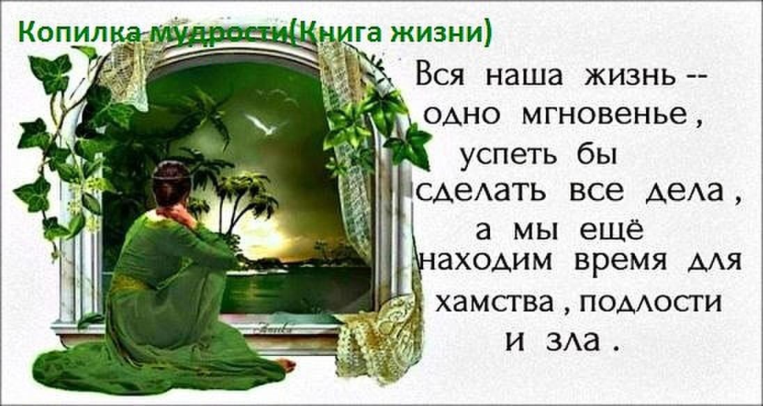 Стих в жизни все успел Стих в жизни все успел