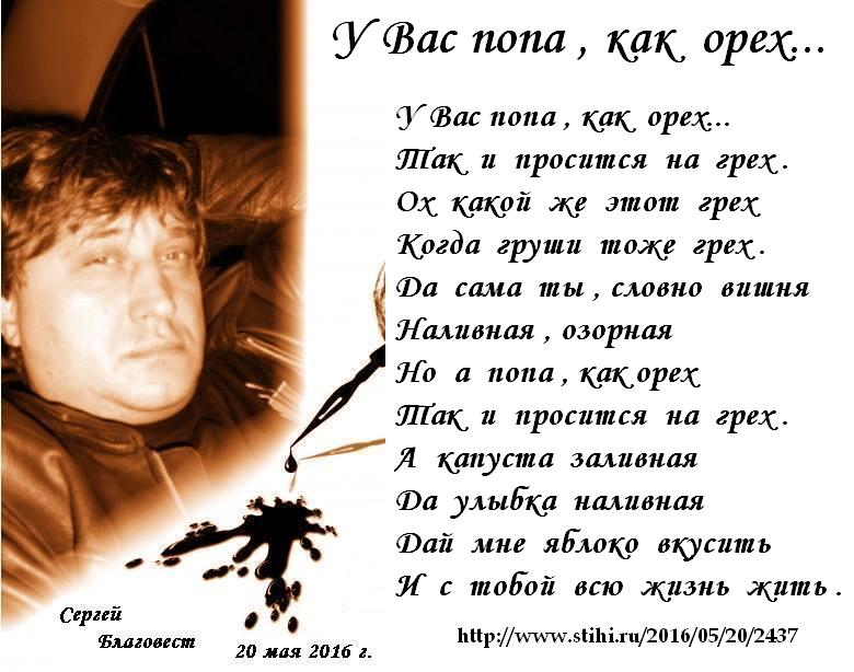 Попа как орех стих Попа как орех стих