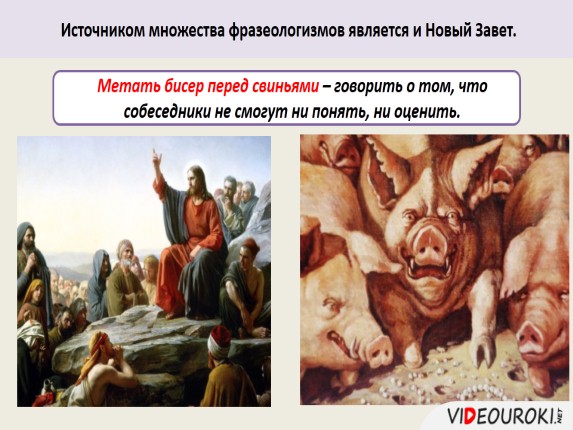 Перед свиньёй бисер не мечут перед свиньями Перед свиньёй бисер не мечут перед свиньями