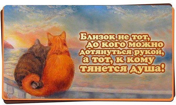 Чужие станут ближе чем