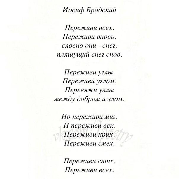 Бродский стих снег Бродский стих снег