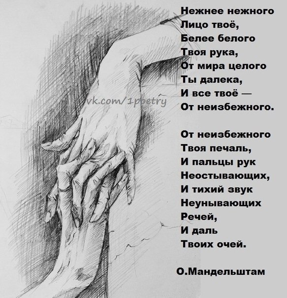 Детская площадка Стихи с юмором (Владимир 26) / Стихи. ру Бронте, Энн Википедия