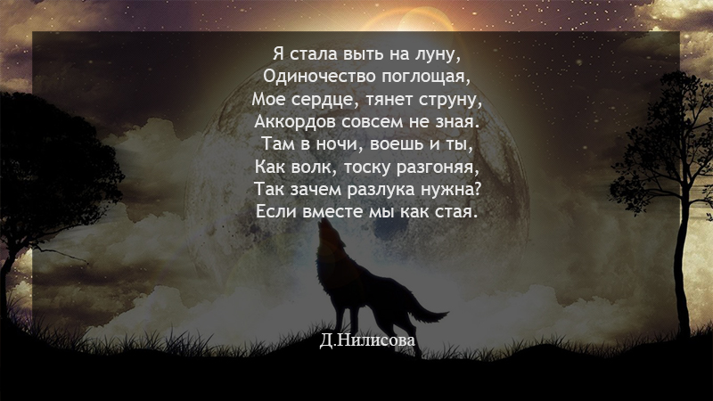Стих душа волка текст Стих душа волка текст