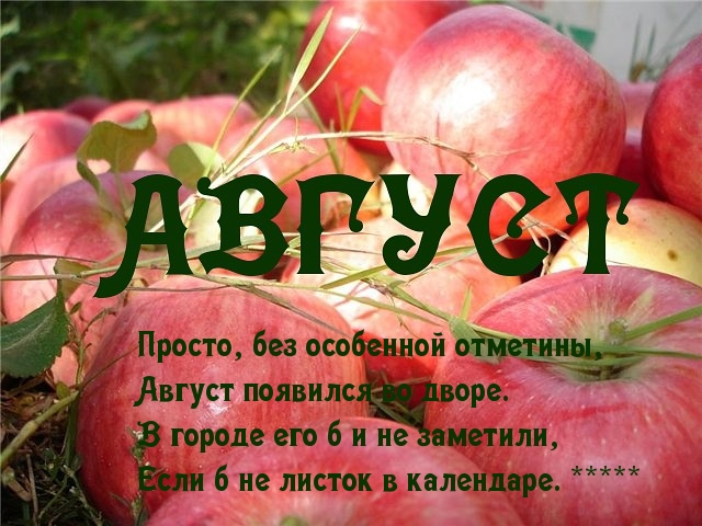 Август и день рождения статусы Август и день рождения статусы