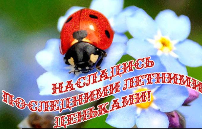 Наслаждаемся теплым днём Наслаждаемся теплым днём