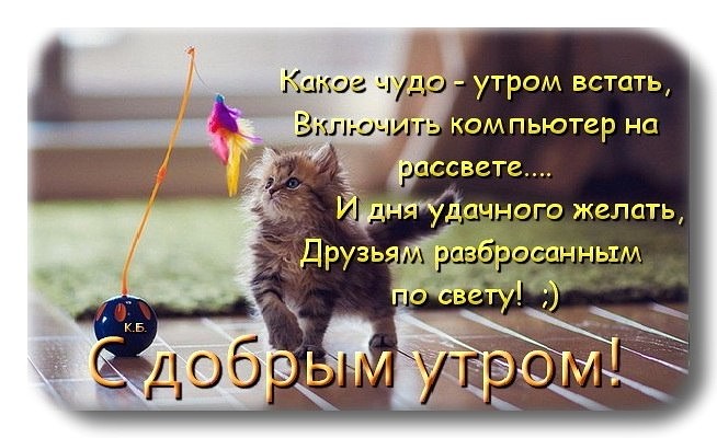 Поздравление доброго утра другу Поздравление доброго утра другу