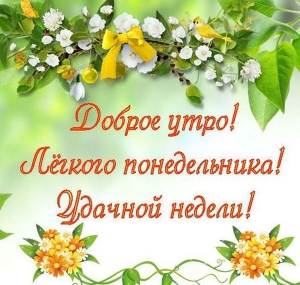 Прикольные картинки на утро понедельника Хорошего дня и отличного настроения картинки