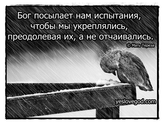 Статусы мне тебя бог послал Статусы мне тебя бог послал
