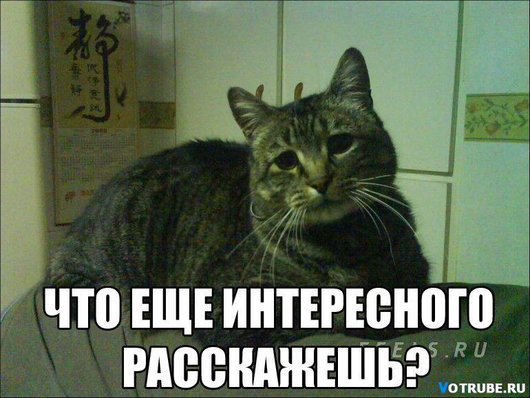 А я не знаю что еще сказать стих А я не знаю что еще сказать стих