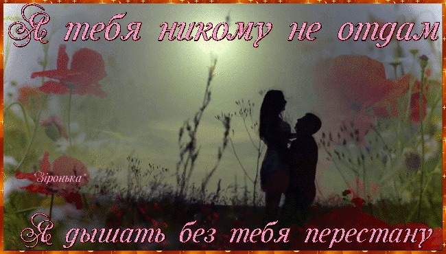 Стихи любимому я не могу без тебя Стихи любимому я не могу без тебя