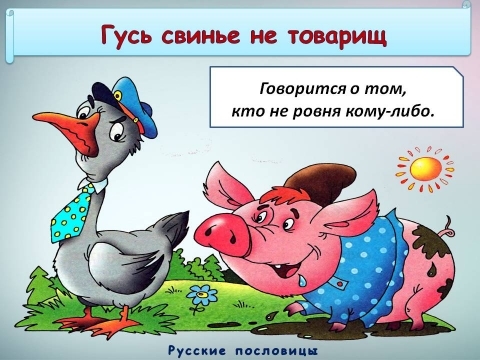 Пословица про свиной хрящик Пословица про свиной хрящик