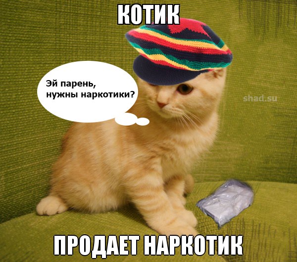 Прыгай киска скачать его песни