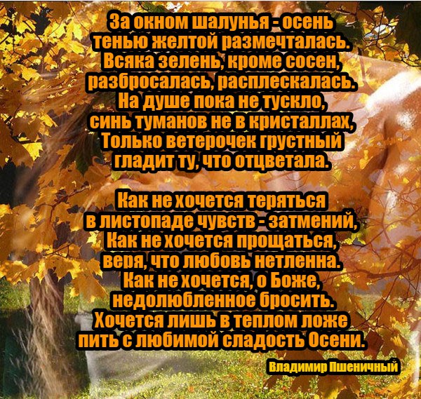 Стих недолюбленные Стих недолюбленные