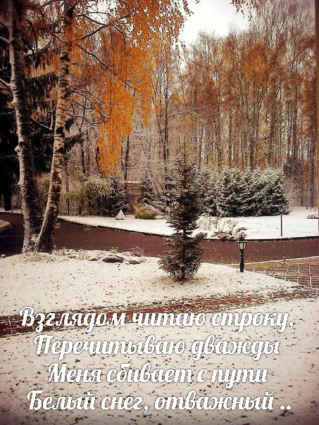 На последнем вздохе стих На последнем вздохе стих