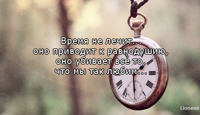 Цитата время проверяет Цитата время проверяет