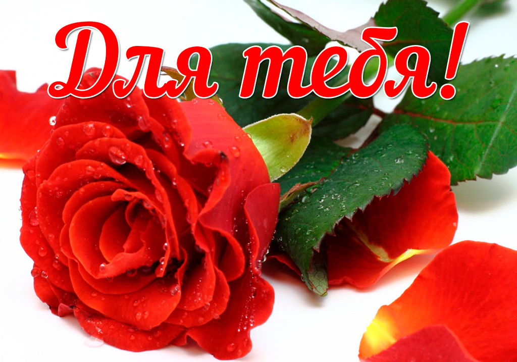 Самое красивое слово комплимент Самое красивое слово комплимент