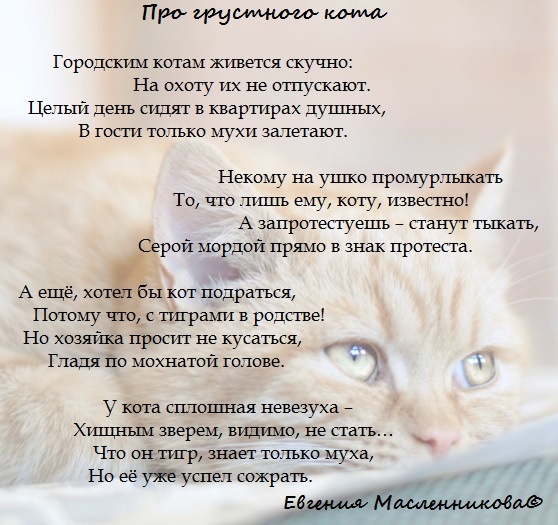 Стих про грустного котёнка Стих про грустного котёнка