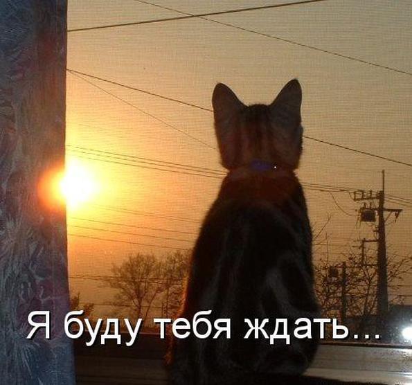 Открытка я буду ждать тебя Открытка я буду ждать тебя