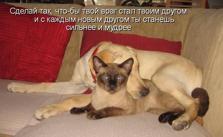 Как сделать плохо своему врагу Как сделать плохо своему врагу