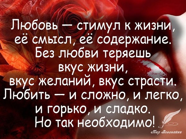 Статусы о жизни рейтинг Статусы о жизни рейтинг