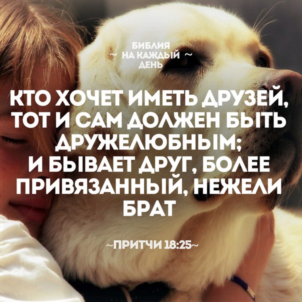 Стих будьте приветливы Стих будьте приветливы