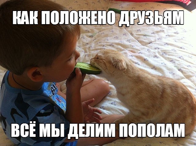 Мы делили все пополам стих Мы делили все пополам стих