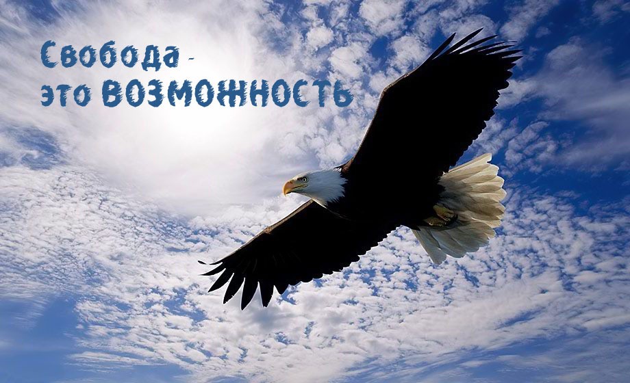 Все тосты про свободу Все тосты про свободу