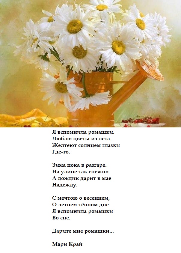 Стих ты подарил мне ромашку Стих ты подарил мне ромашку