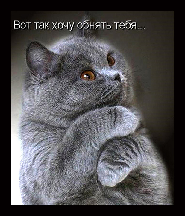Открытки я тебя хочу обнять тебя Открытки я тебя хочу обнять тебя